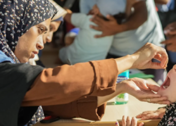 OMS: Se pospone la fase final de la campaña de vacunación contra la polio en Gaza mientras se intensifica el conflicto