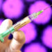La FDA ignoró fragmentos de ADN residuales en la vacuna contra el VPH Gardasil