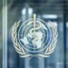 El Movimiento por la Salud de los Pueblos pide medidas urgentes para preservar, proteger y mejorar la labor de la Organización Mundial de la Salud