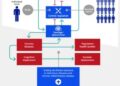 Un mapa inflamatorio multiescala: vinculando el estrés individual con la disfunción social