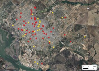 Caracterización del brote de dengue autóctono austral más importante del mundo (Bahía Blanca, Argentina, enero-junio de 2024). Estudio transversal.