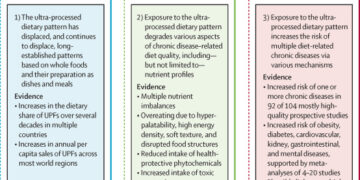Alimentos ultraprocesados y salud humana: la tesis principal y la evidencia