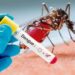 Científicos argentinos descubrieron que el dengue, el Zika y la fiebre amarilla comparten el mismo mecanismo de replicación