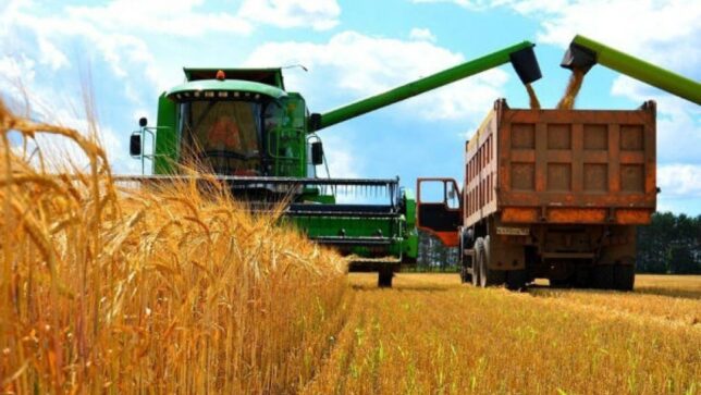 La aprobación del trigo transgénico en EE. UU. amenaza el sustento de los agricultores y la salud pública – Nuevo informe