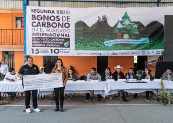 Los estados como traficantes de carbono