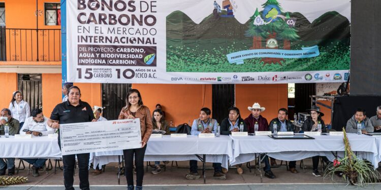 Los estados como traficantes de carbono