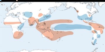 Según los analistas, un fenómeno de El Niño «súper» podría provocar una crisis mundial en los precios de los alimentos que se prolongaría hasta 2028