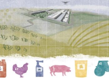Por qué importa la concentración empresarial en el sistema alimentario.