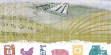 Por qué importa la concentración empresarial en el sistema alimentario.