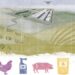 Por qué importa la concentración empresarial en el sistema alimentario.